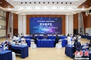 梨树县沪苏浙环淀山湖区域古镇共谋世界级湖区建设