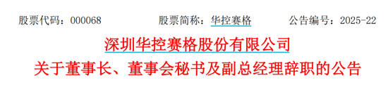 华控(🤯)赛格董事长、董秘、副总经理三高管同日辞职